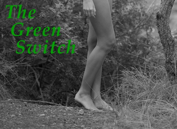 The Green Switch | zorroabdaddy.com