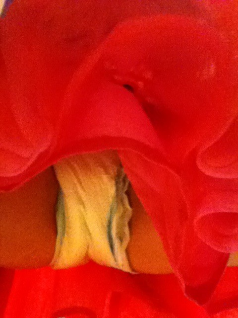 Untitled — Skirts feel better when a diaper is under it :)