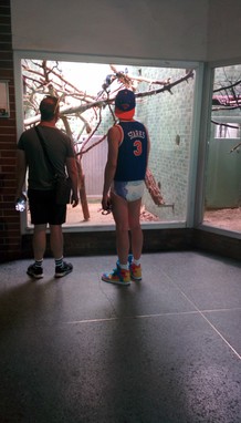 Went to the zoo to see animals. I found people. - Imgur
