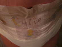 PrincessPeePants — Since my diapers are fairly industrious, I’ve seen...