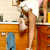 “Daddy, there’s an elf in the cookie jar cupboard!” | zorroabdaddy.com