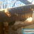 Web Cam – Diapered 24/7
