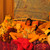 LiL' Sophie Studios — Waking up Widdle!