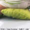 Gege asked me to change my avatar picture on my Big Girl blog to the picture he took while i was rubbing against my pillow