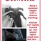 Climax | zorrodaddy.com