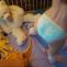 Wearing Pampers and playing in my play pen (8 pics) – ABDLgirl