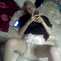 Pictures - img015_06436cf2.jpg - ABKingdom