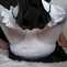 ImageFlea - diapered baby sissy - Page 5