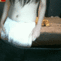 I made a small gif! c: - Imgur