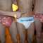 German Diaper Boy — Diaper-Party