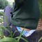 panda pants